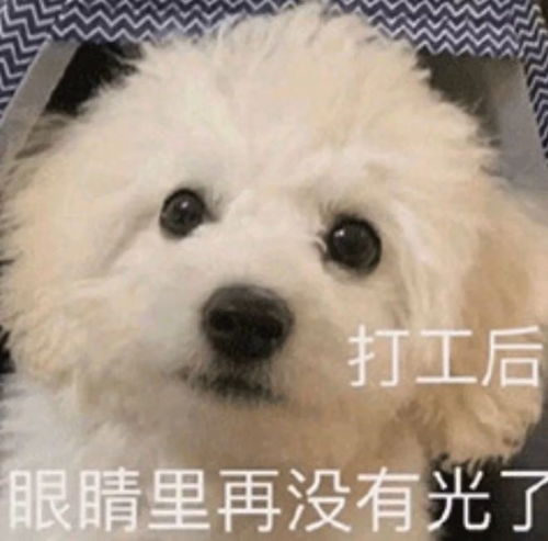 广州深圳,连夜通报丨一地官方通告停课3天,多名幼儿感染都是因为