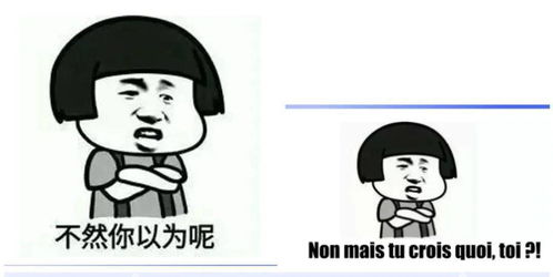 聊天尬住不如回复一个法语表情包