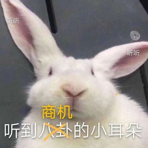 头条明清文人摆摊再就业,体验搬砖新生活