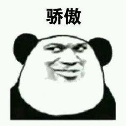 有哪些表情包骄傲