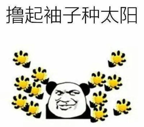 化苑新声丨军训小福利来啦