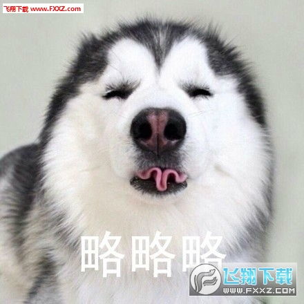 动物略略略表情图片下载略略略表情包无水印版下载飞翔下载