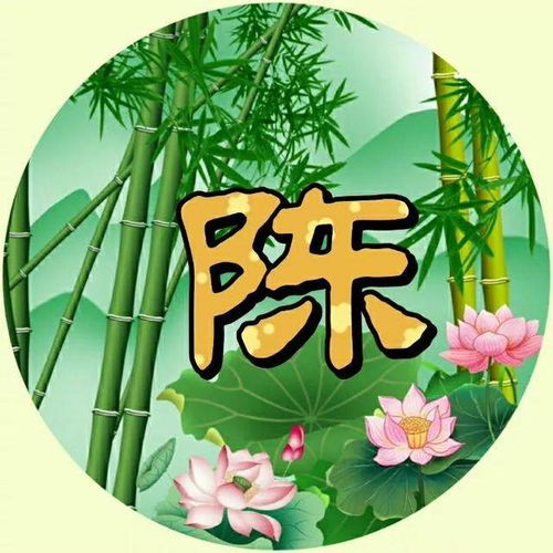 精心挑选了5种款式,总共70张微信头像,精致美观,收藏起来吧