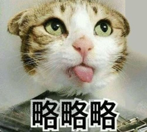 主人下班后找不到自家猫咪,找到后忍不住笑喷你是想减肥吗
