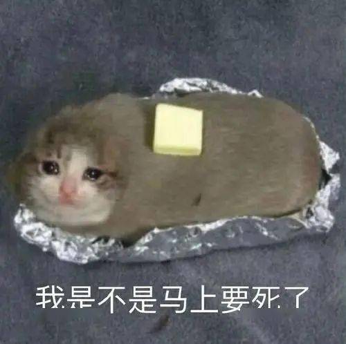 21年中秋国庆最强拼假攻略每日搞笑段子