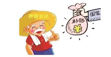 国家对农民承包100亩以上的土地有什么补助