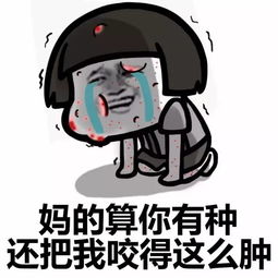 表情包蚊子独宠我
