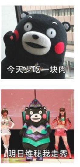 真没想到,我有一天要靠表情包减肥