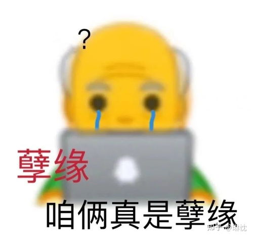 你有哪些关于王思聪和孙一宁事件的表情包和经典语录,可以分享一下吗