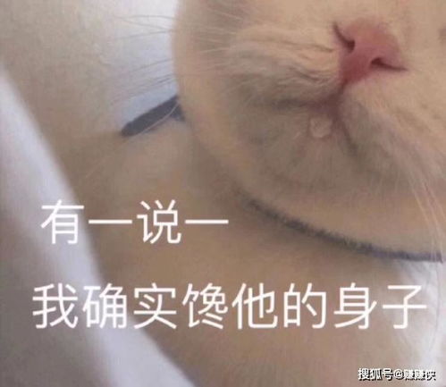 微信晚安表情大全微信晚安表情图片
