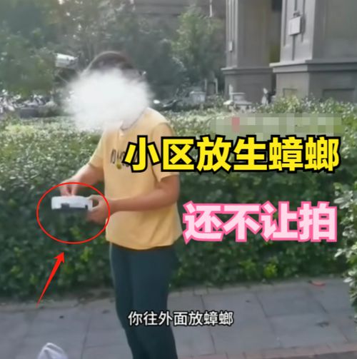 廊坊女子小区内放生蟑螂后续视频发布者再发声,放生目的疑曝光