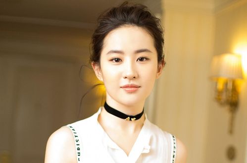 刘亦菲陈晓粉丝撕13刘亦菲陈晓对视