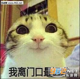 宿舍头像6个可爱卡通宿舍专用八人头像表情包下载高清无水印乐游网游戏下载