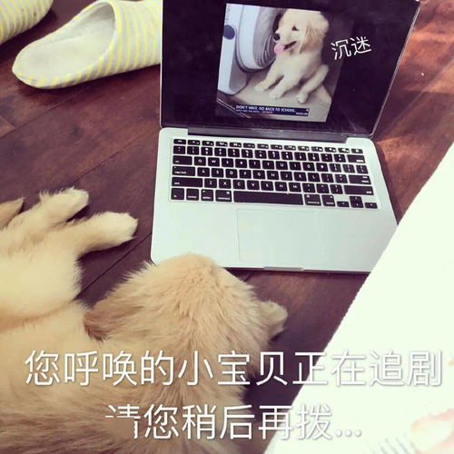 情侣头像vs单身头像
