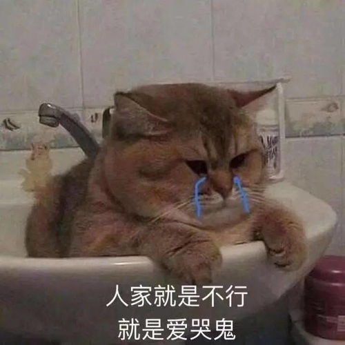 经期护肤有绝招搞清这4个护肤周期,琦琦让你逆袭奶油肌