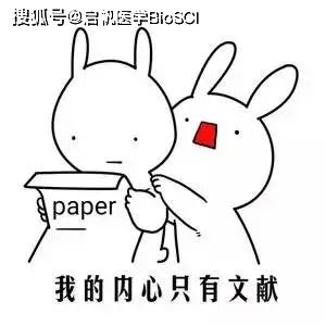 资料让你快速学会文献追踪要点,涵盖非编码甲基化外泌体等