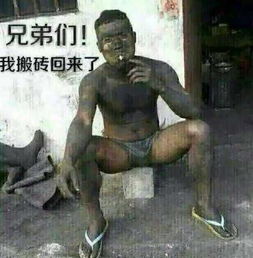 起来起来去搬砖了,搬砖搞笑表情包