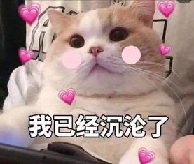 逐渐肥胖表情包胖嘟嘟