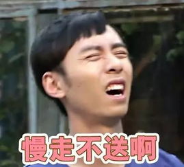 平凡岁月富强民主文明和谐家庭表情包套装来啦
