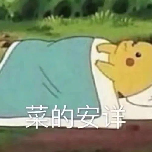 要疯了的表情包见人