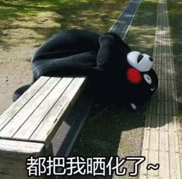 高温预警今天35度出门别忘带孜然...记得翻面...