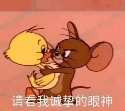 猫和老鼠表情包是要我现在开始酸吗