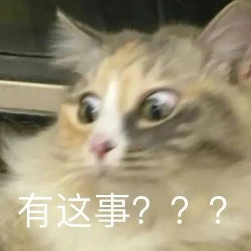 沙雕表情包谁懂宝心里的苦