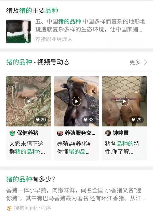 微信的10个隐藏功能,90珠海人都不知道