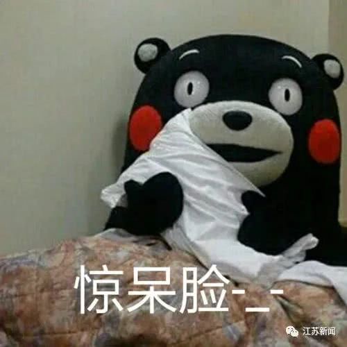 一点点是整个宇宙的表情包睡觉