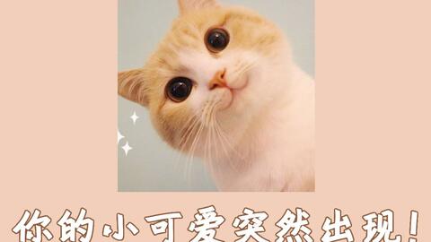 短小无力的练习作品2
