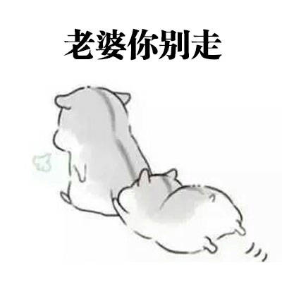 表情包想要这样会道歉的老公