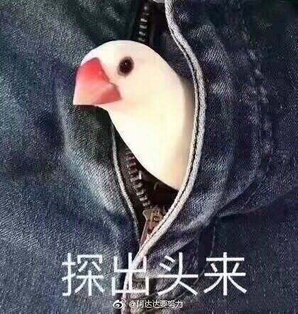 求推荐占有欲强对女主loli养成的男主....