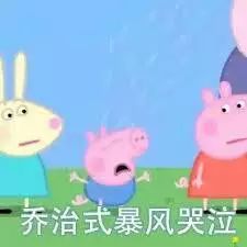 你来墨尔本留学八成是疯了吧