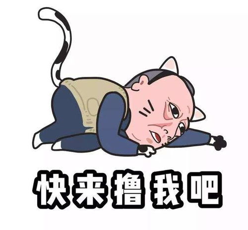 周冬雨小黄鸭版表情包表情