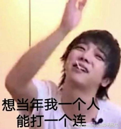 有哪些华晨宇的表情包
