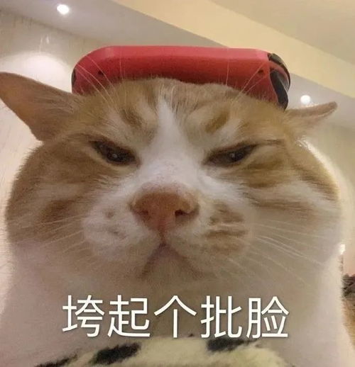 朋友圈沙雕文案23.0