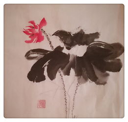 人到中年,从零开始学画画之五小写意花卉