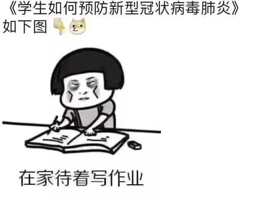 未来作家