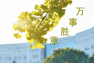 鹰大版中老年蜜汁风味表情包斗图必备,亲测有毒
