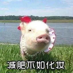 抓紧想找好工作的你,这个机会别错过