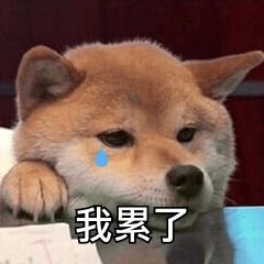 天气热的图片表情包天气之子
