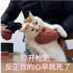 刷榜公司拒单,厂商爆粗现在新appstore居然成了这样