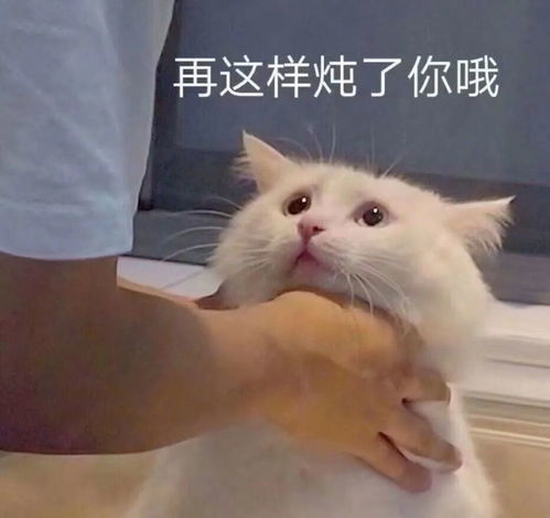 怀疑你是被月球通缉的黑眼圈小兔子