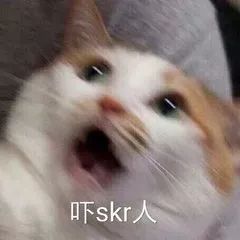 看见烟火2018年度流行语