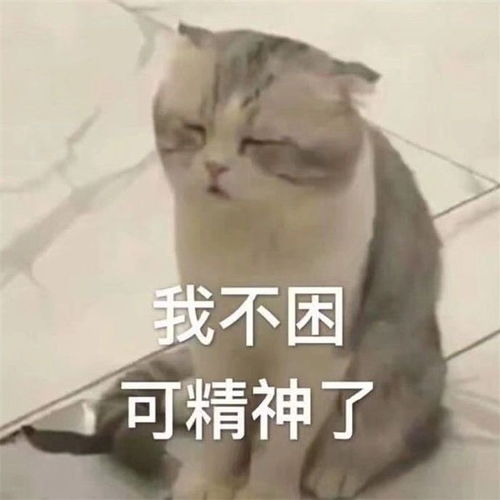 撩人表情包图片交个朋友,不然就坐下来谈