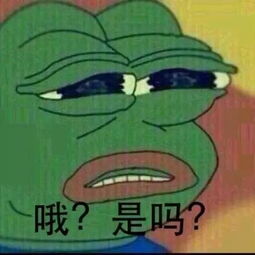在上海mao工作是什么样的体验