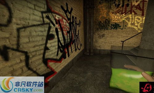 求生之路2袋装胆汁mod界面预览求生之路2袋装胆汁mod界面图片