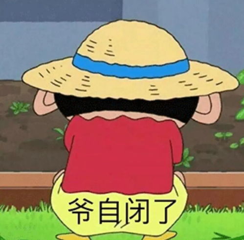 买家的各种智商下线...哈哈哈买家秀太sao了...
