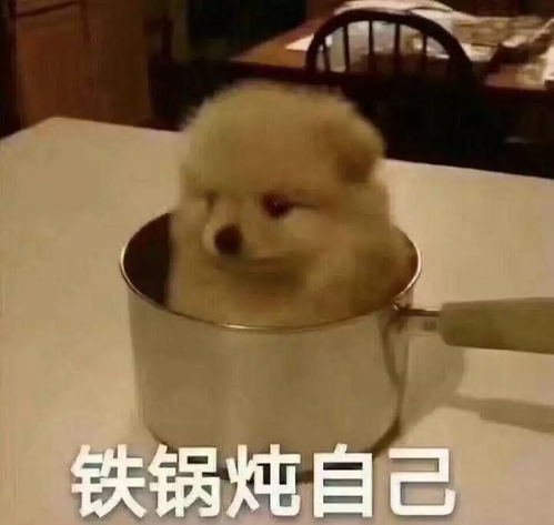 3月不减肥,4月徒伤悲...这些减肥文案,扎肉