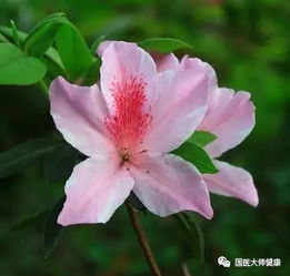 这份女人保健手册30至80岁都管用,为家里的母亲和妻子收藏